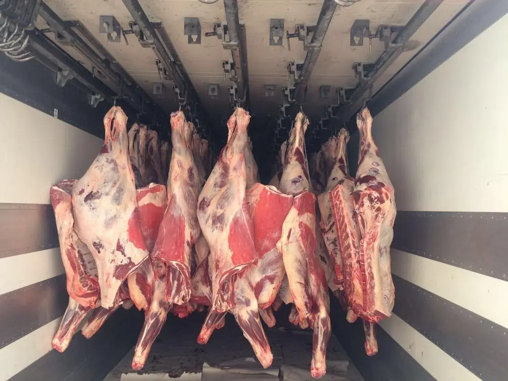 Говядина коровы полутуши 1 кат оптом